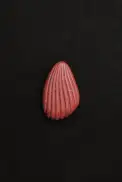 COQUILLE PAPERWEIGHT(Red Jasper)