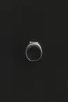 WALTER RING(5)