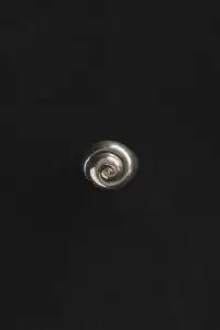 Nautilus Ring(Sterling Silver,5)