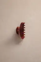 Small Fan Shell Claw