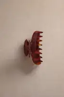 Fan Shell Claw