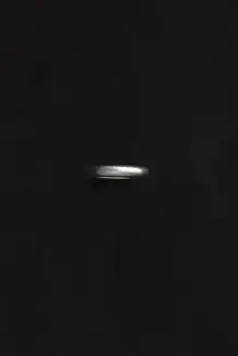 Small Flaneur Ring(5)
