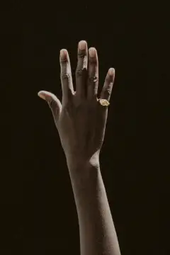 Small Nautilus Ring
