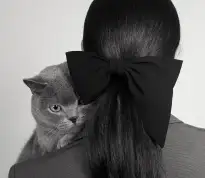 ASYMMETRICAL BOW